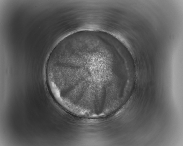 X0000088851382200707061025