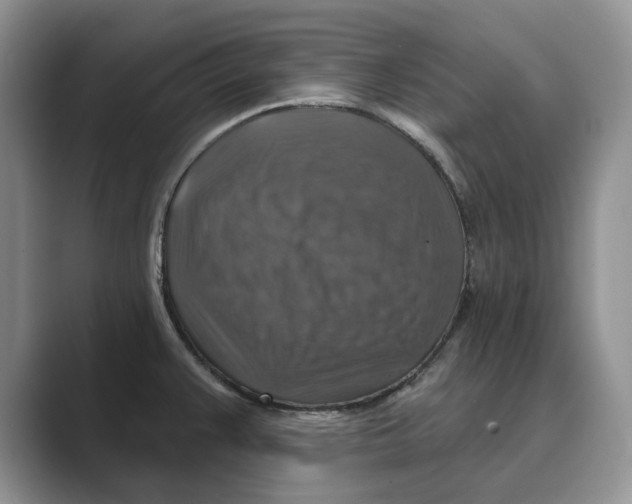 X0000088851383200707061025