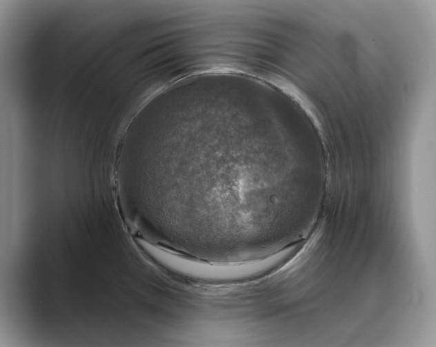 X0000088851385200707061025