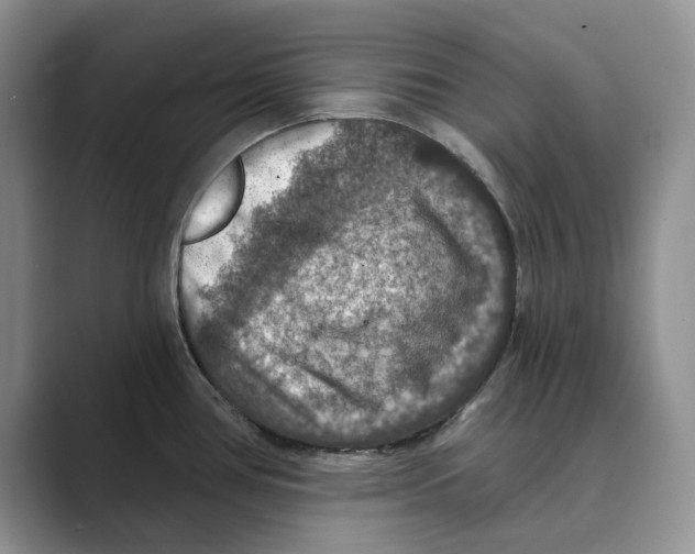 X0000088851386200707061025