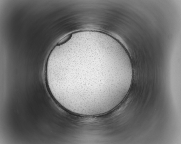 X0000088851387200707061025