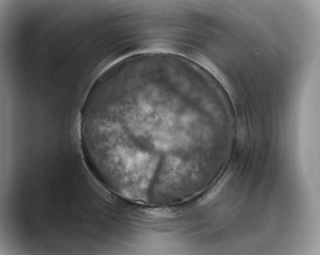 X0000088851388200707061025