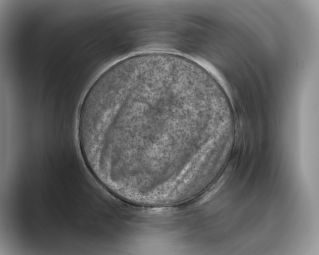 X0000088851390200707061025