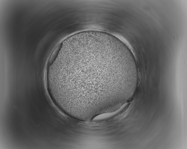 X0000088851391200707061025