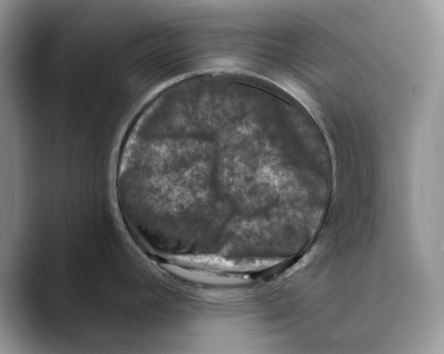 X0000088851392200707061025