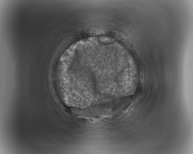 X0000088851393200707061024