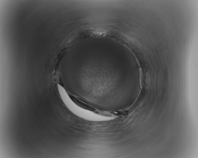 X0000088851394200707061024