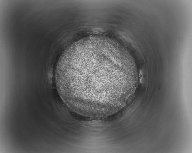 X0000088851395200707061024