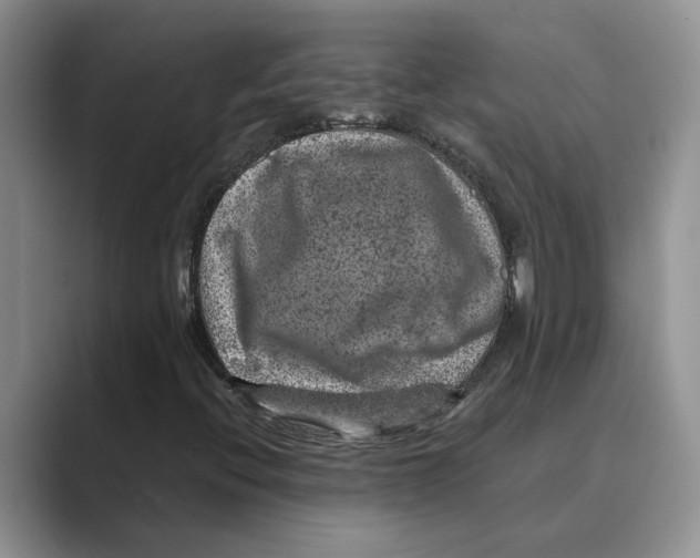 X0000088851396200707061024