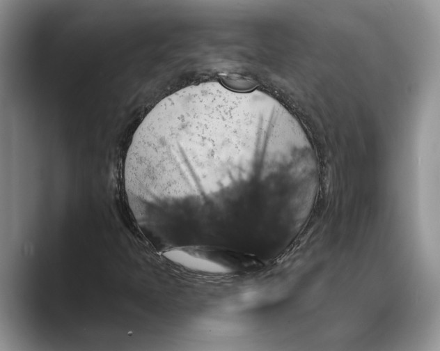 X0000088851397200707061024