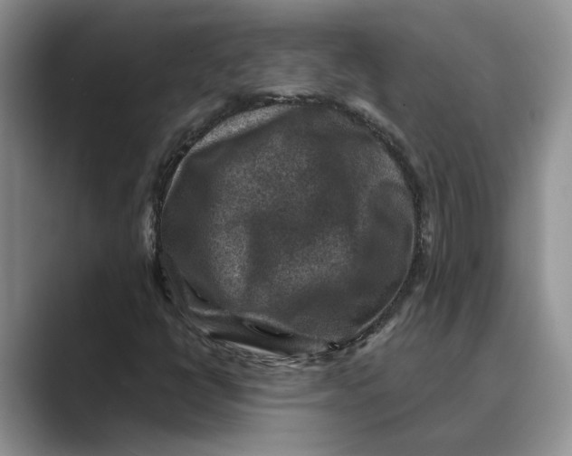 X0000088851398200707061024