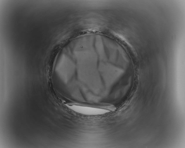 X0000088851399200707061024