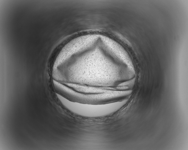 X0000088851400200707061024