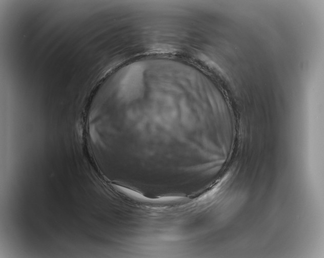 X0000088851401200707061024