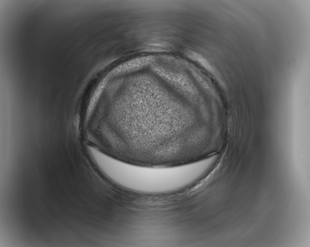 X0000088851402200707061024