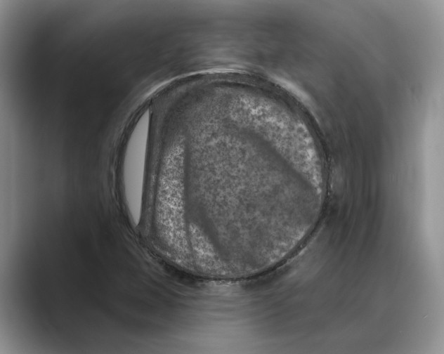 X0000088851407200707061024