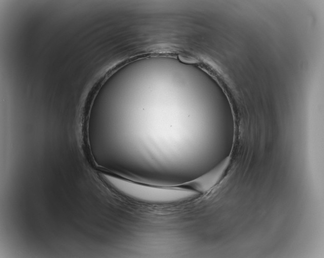 X0000088851410200707061024