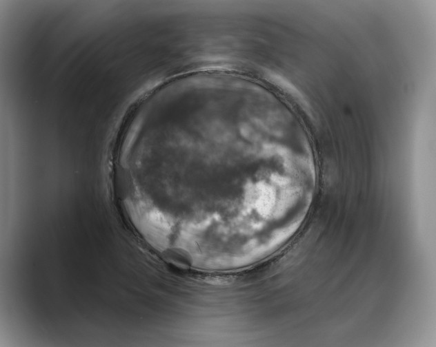 X0000088851411200707061024