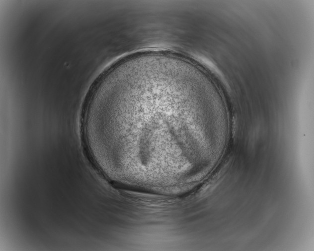 X0000088851412200707061024