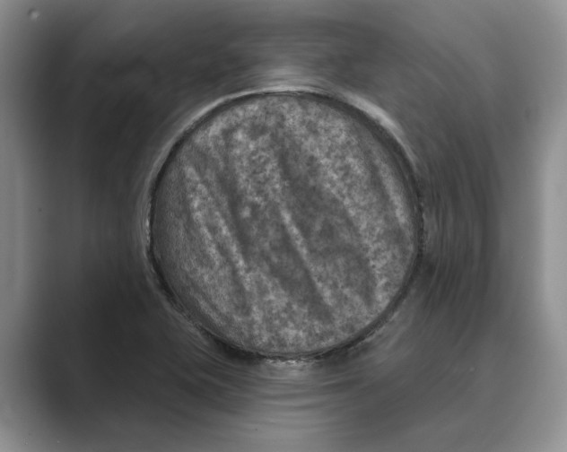 X0000088851415200707061024