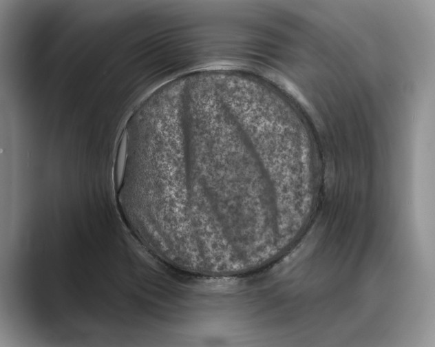 X0000088851417200707061024