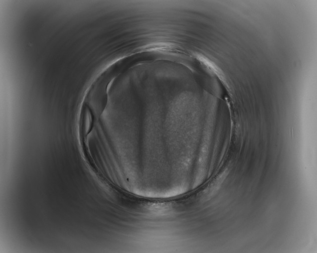 X0000088851418200707061024