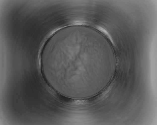 X0000088851419200707061024