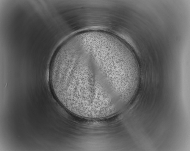 X0000088851420200707061024