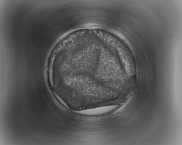 X0000088851421200707061024