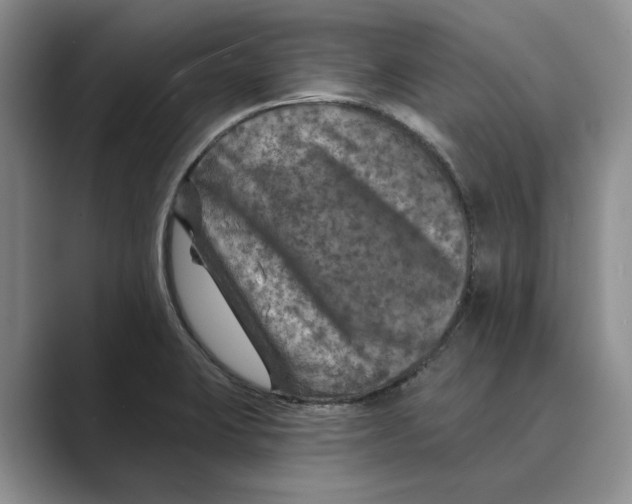 X0000088851423200707061024