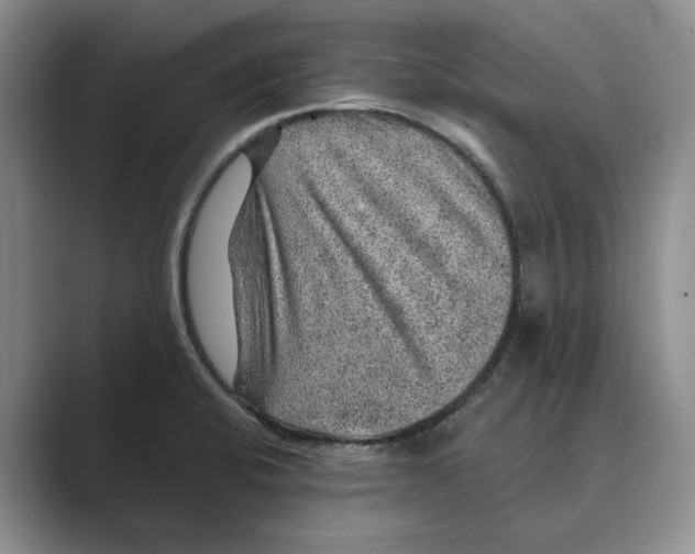 X0000088851424200707061025