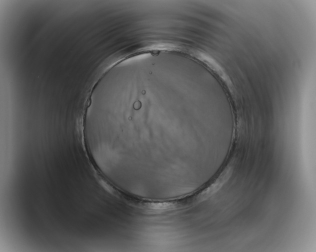X0000088851425200707061025