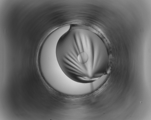 X0000088851426200707061025