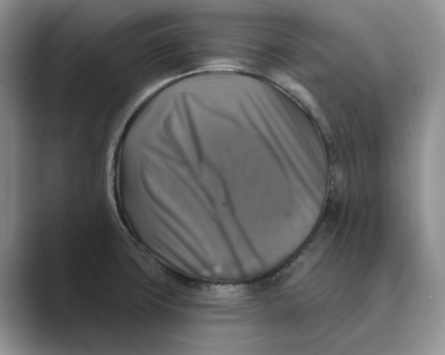 X0000088851427200707061025