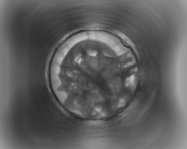 X0000088851429200707061025