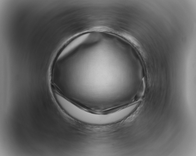 X0000088851430200707061025