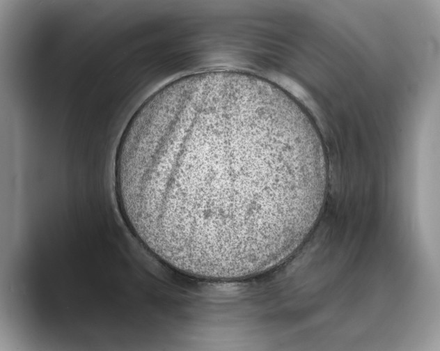 X0000088851431200707061025