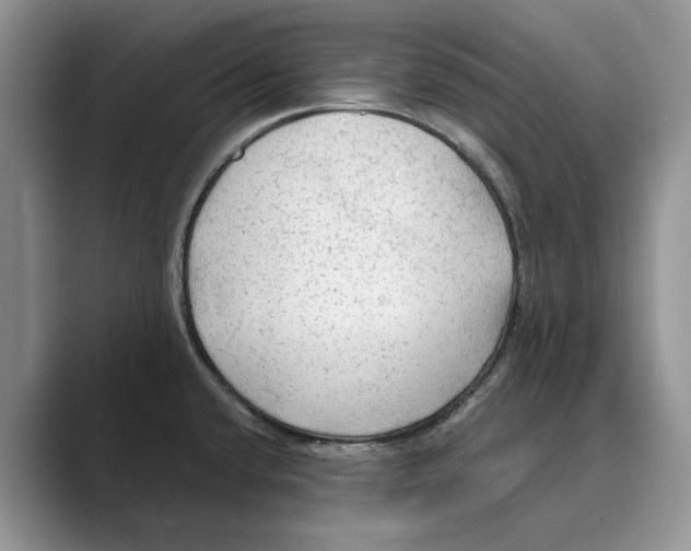 X0000088851432200707061025