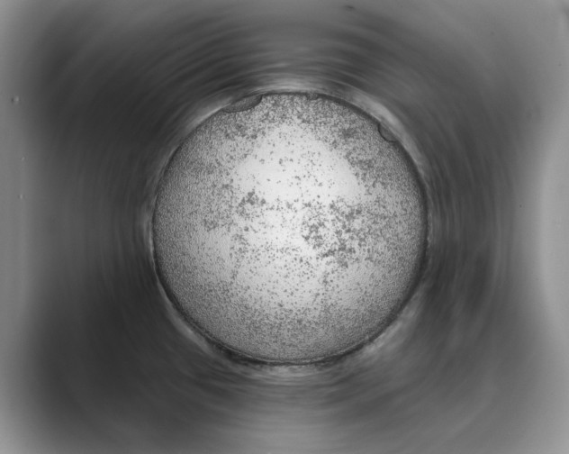 X0000088851433200707061025
