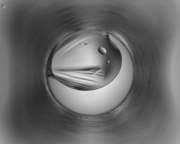 X0000088851434200707061025