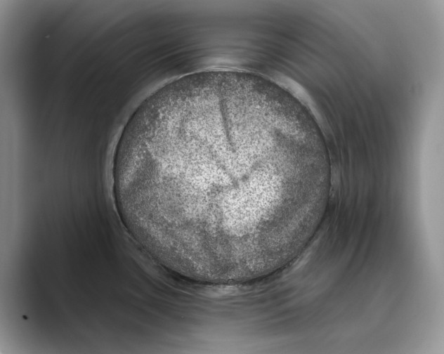 X0000088851435200707061025
