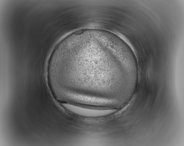 X0000088851437200707061025