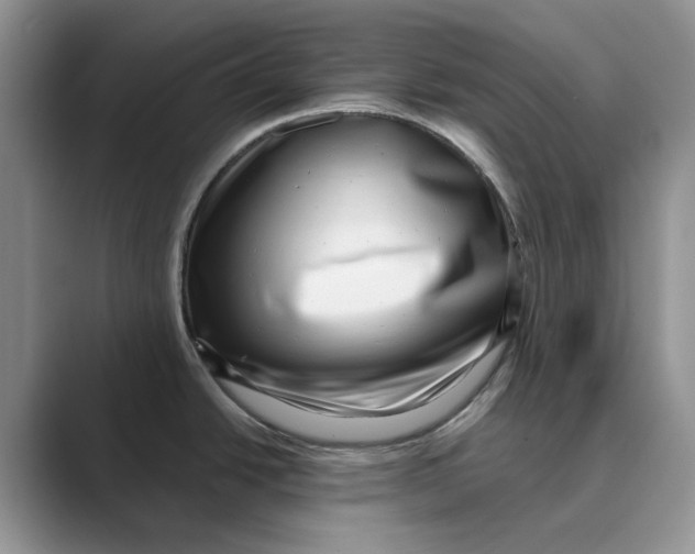 X0000088851438200707061025