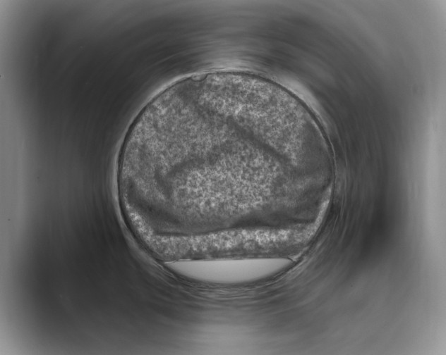X0000088851439200707061025