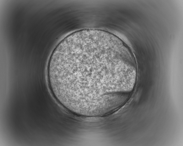 X0000088851440200707061025
