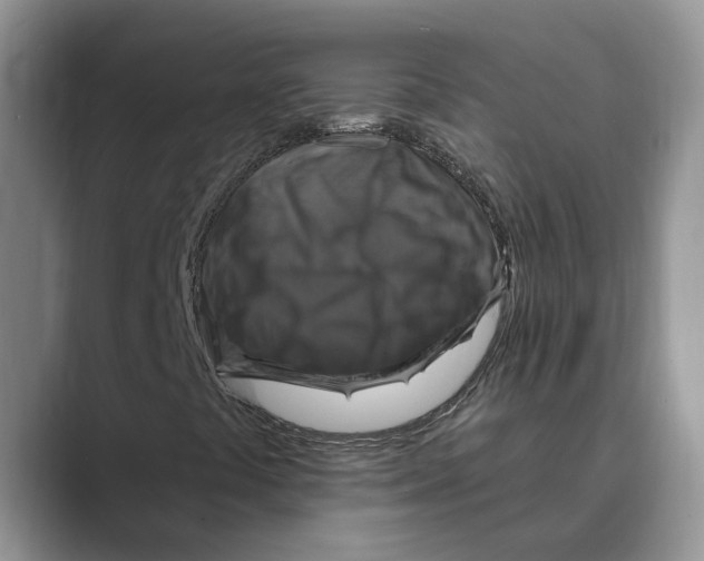 X0000088851441200707061024