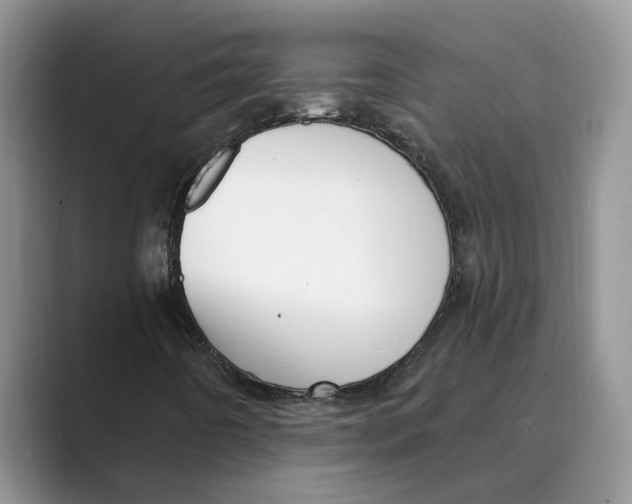 X0000088851442200707061024