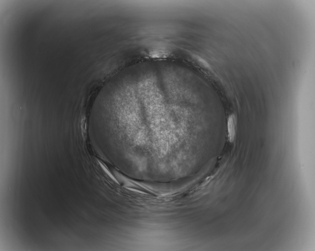 X0000088851443200707061024