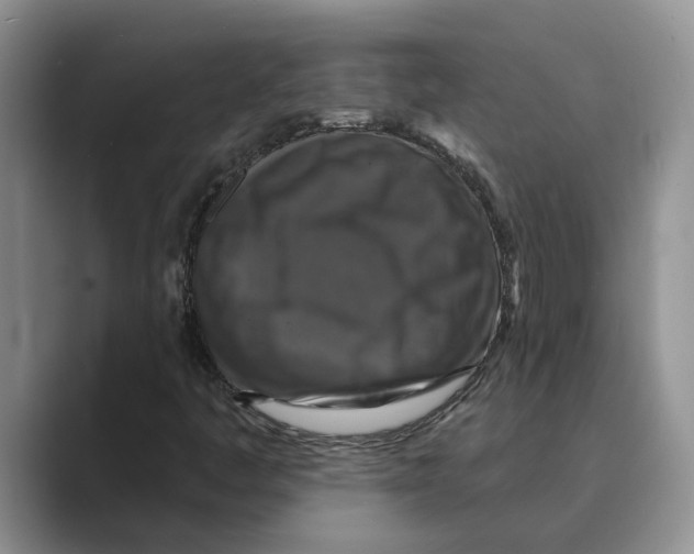 X0000088851445200707061024