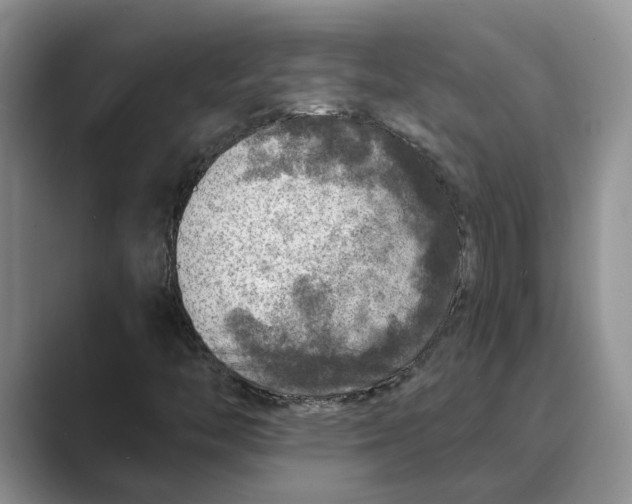 X0000088851446200707061024